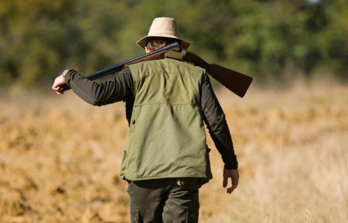 les chasseurs et tireurs sportifs obligés de les déclarer rapidement