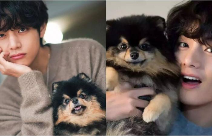 BTS V écrit une publication déchirante sur Instagram pleurant la mort de son chien de compagnie – “ARMY Loved Yeontan”