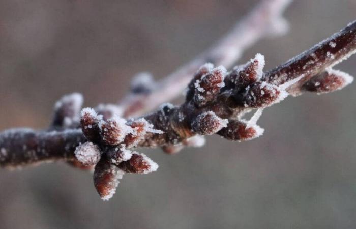 le froid devrait bientôt revenir en France