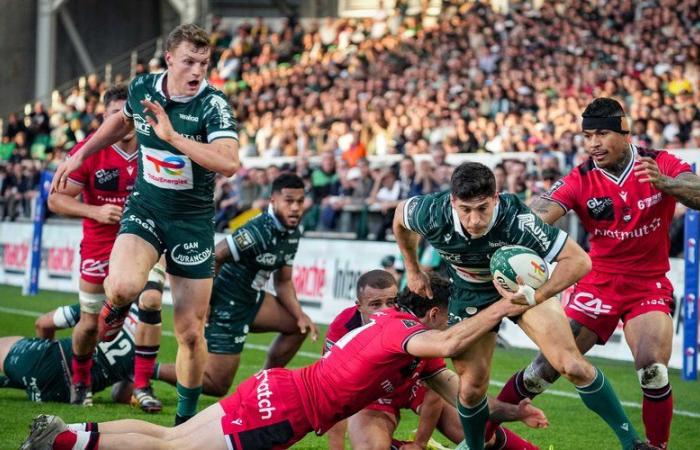 un Top 14 plus disputé que jamais