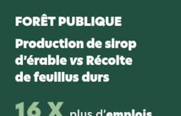 Des canettes de sirop d’érable remplies de copeaux de bois envoyées aux députés caquistes