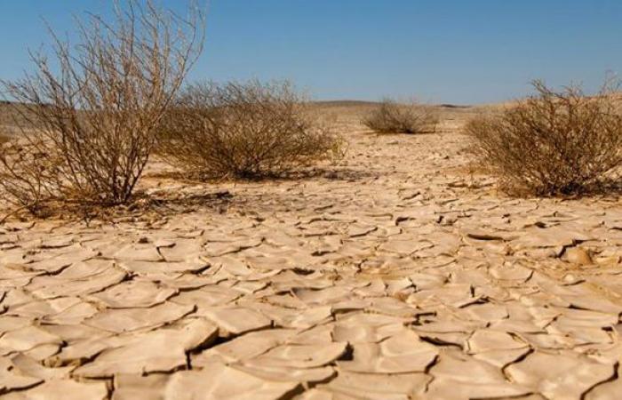 Ouverture de la conférence sur la désertification