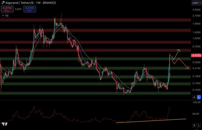 Une explosion en décembre pour les altcoins ? – Les cryptos à surveiller