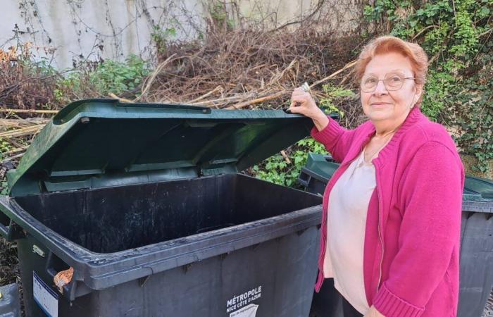 Des centaines de lettres non distribuées retrouvées dans les poubelles, plusieurs communes des Alpes-Maritimes touchées