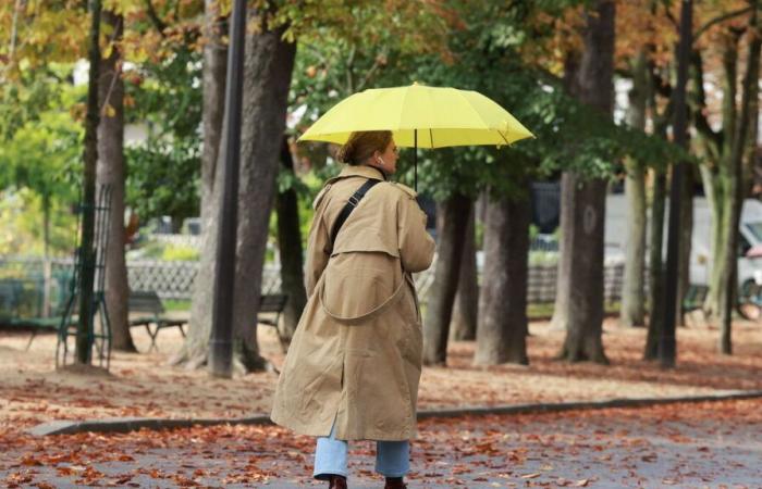 Quel - a-t-il fait en novembre ?