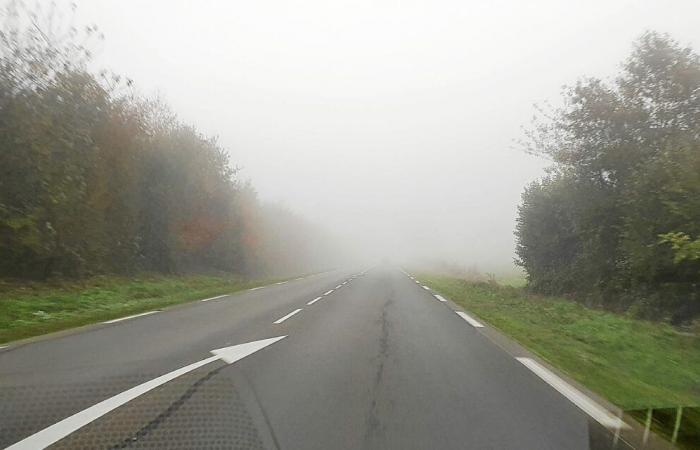 le record historique de grisaille a été battu en novembre