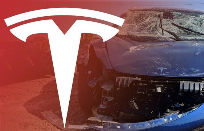 Tesla annonce sa mise à jour de fin d’année, avec une application watchOS et bien d’autres nouveautés