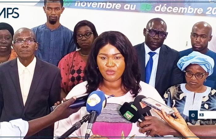 SÉNÉGAL-ÉCONOMIE/ADEPME va encadrer plus de 300 petites et moyennes entreprises dans la région de Ziguinchor – Agence de presse sénégalaise