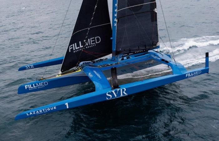 François Gabart stoppe sa tentative de record du tour du monde à la voile à cause d’une collision avec un OANI (objet ou animal non identifié)