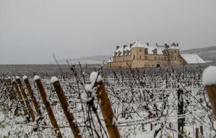 Bulletin météo. Retour annoncé de la neige et du froid en Côte-d’Or : ce que l’on sait