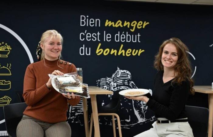 Madame Beans sert des légumes secs à la cantine et remporte le prix Jeune Créateur en Anjou