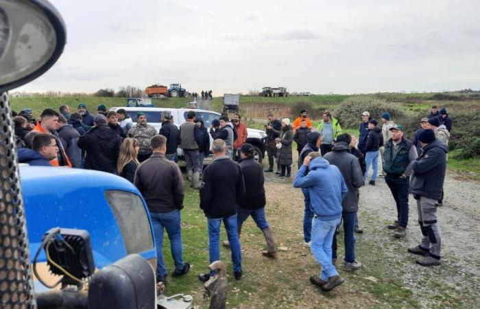 En Charente-Maritime, les agriculteurs sidérés par une probable censure gouvernementale