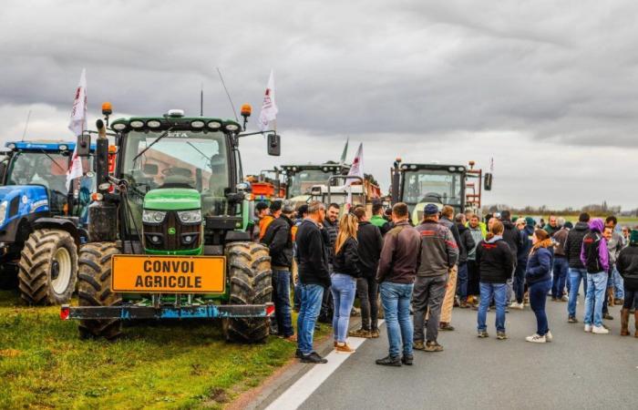 50 tracteurs en action pour dire non à l’abandon des terres agricoles