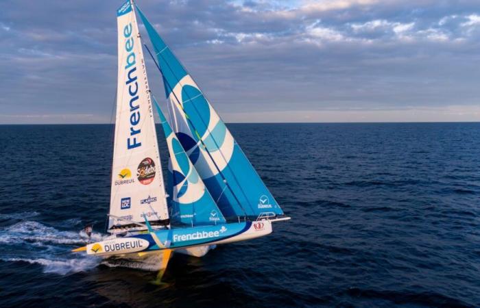 un duo Dalin-Simon se démarque au classement dans les mers du Sud… Suivez en direct la position des skippers