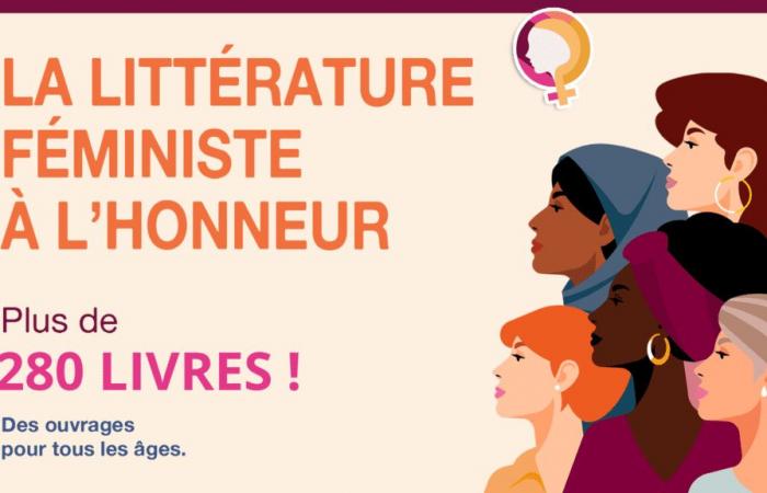 Le réseau Biblio est doté de plus de 280 ouvrages de littérature féministe