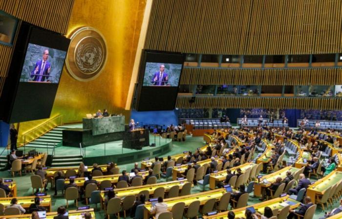 L’Assemblée de l’ONU veut la création d’un Etat palestinien