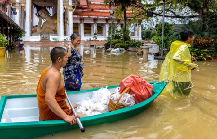 Le sud de la Thaïlande dévasté par des inondations meurtrières