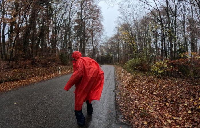 Evasion, marché de Noël, cinéma ouvrier… Où sortir dans le Tarn cette semaine ?