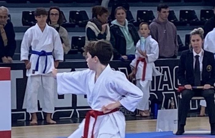 Sixth Hérault karate cup at the Frontignan karate club