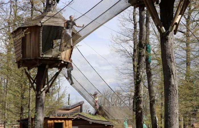 Nouvelles attractions, nouveaux tarifs, recrutement… Ça bouge à Pokeyland