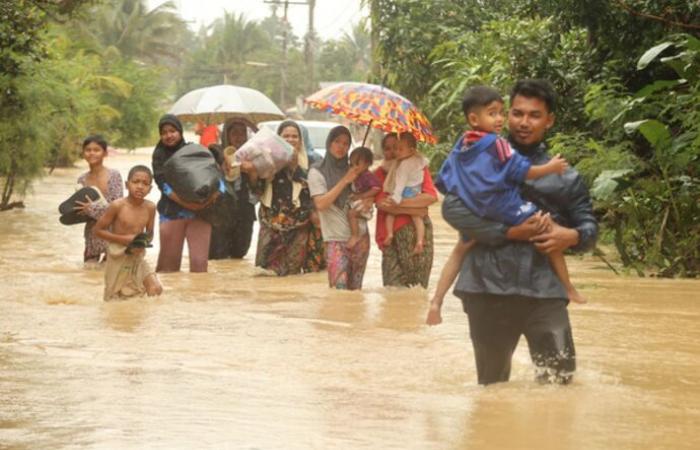 Les inondations causent des pertes de 580 millions de dollars aux plantations d’hévéas