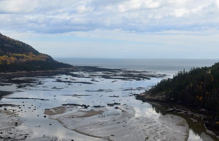 Nouveau parc national | Une anthropologue en mission à Charlevoix