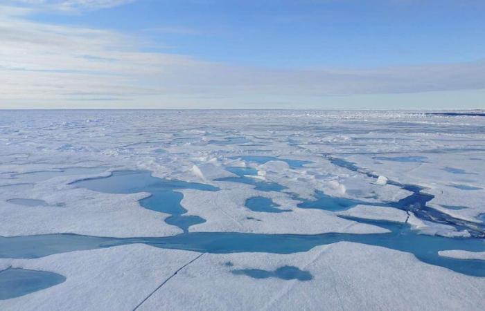 Le jour où l’océan Arctique sera complètement libre de glace arrive bientôt !