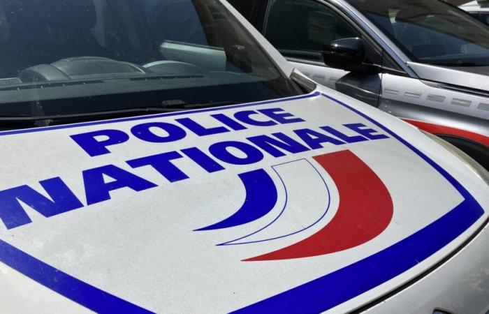 NÎMES Il frappe sa compagne, mord ses chiens… et va en prison