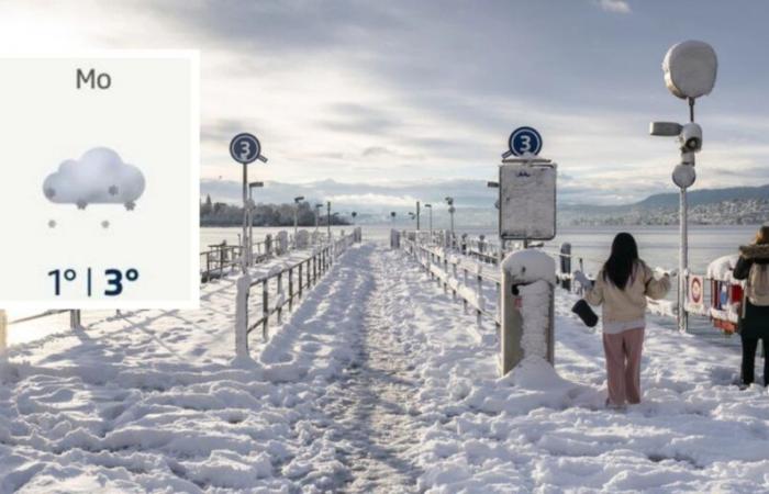 Dans une semaine il y aura des flocons blancs dans les plaines