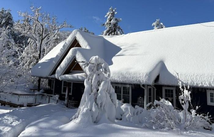 Des milliers de foyers ontariens toujours sans électricité après la tempête du week-end