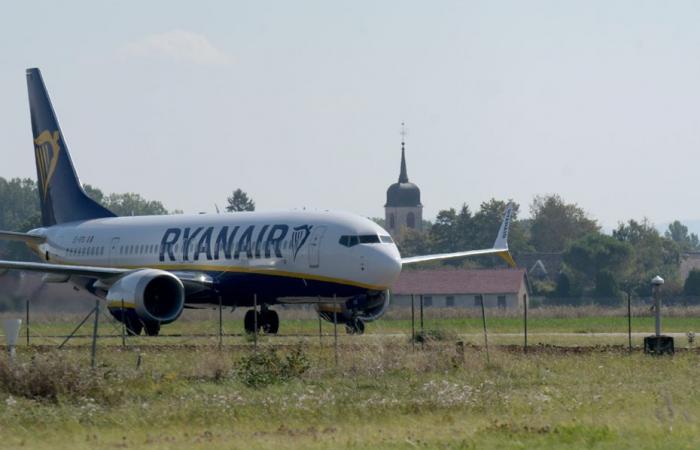 Faut-il continuer à investir dans l’aéroport de Dole-Jura ? Un collectif d’associations dit “stop” et lance une pétition