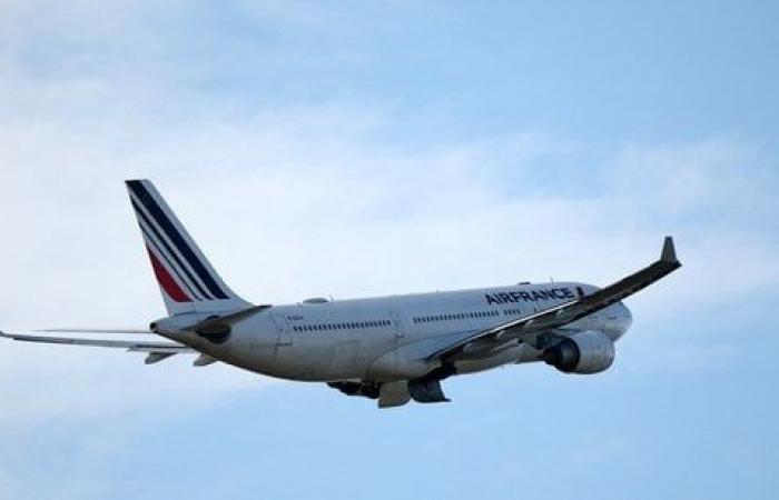 Air France-KLM, meilleur élève en carburants durables