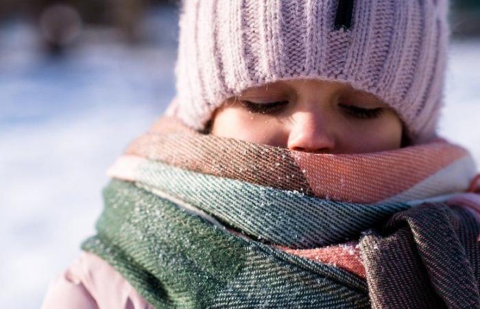 une « vague de froid » va s’abattre sur le pays, Météo France tire la sonnette d’alarme