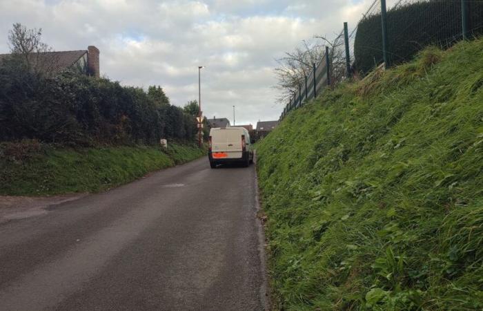 A Eslettes, près de 900 véhicules empruntent chaque jour la petite rue des Jonquilles, les habitants n’en peuvent plus