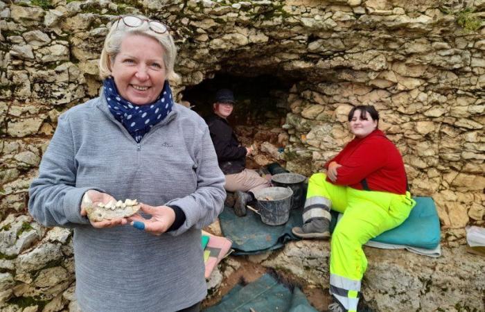 La Haute-Marne cache des trésors ?