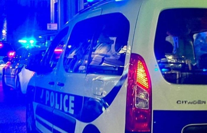 Villeneuve d’Ascq. Ils se précipitent vers un portail dans une voiture volée pour échapper à la police.