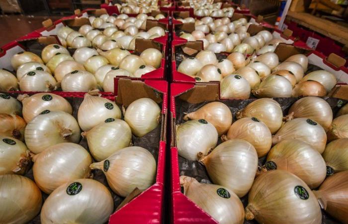 Les exposants du Gard à l’honneur au salon régional de l’agriculture de Toulouse