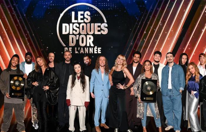 “Les disques d’or de l’année” réunis sur M6 pour la soirée de Noël, les artistes présents