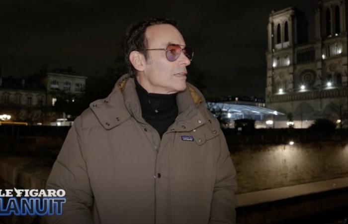 Anthony Delon divague en pleine interview et c’est lunaire