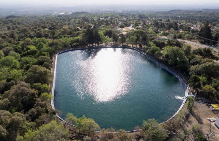 découverte macabre dans un bassin de rétention