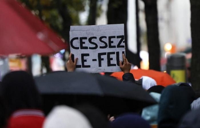 “Cessez-le-feu” élu mot francophone de 2024 devant “consentement” et “quoicoubeh”