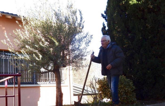 La tradition de planter des arbres est ancrée chez les élus de Prayols