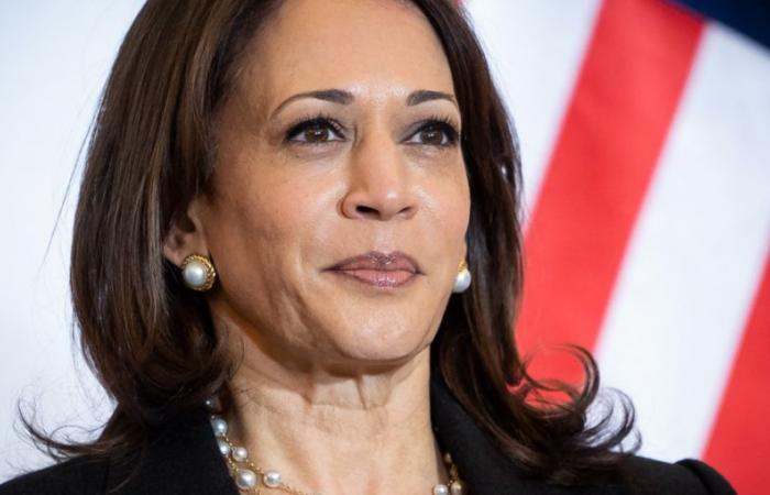 Découvrez la villa californienne de 320 m² de Kamala Harris avec gigantesque piscine – Actual Immo