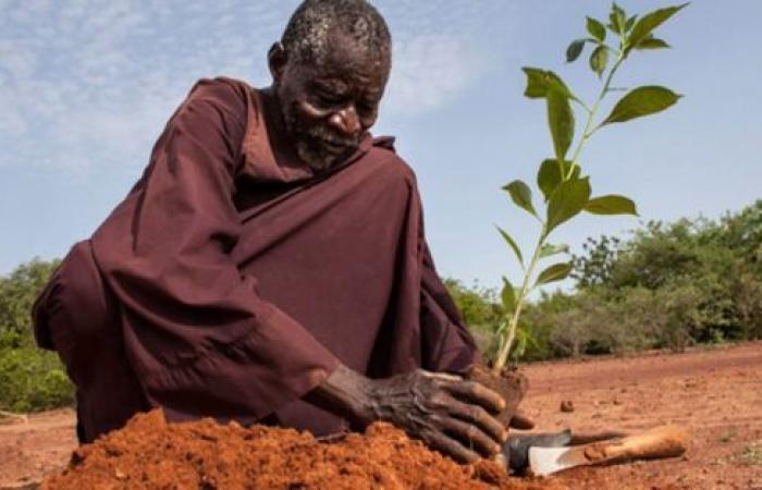 Au moins 2 600 milliards de dollars d’ici 2030 pour lutter contre la dégradation des terres