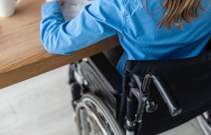 Plus de 20 ans d’engagement en faveur de l’inclusion des personnes handicapées