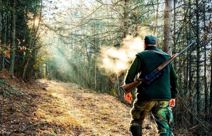 Accident de chasse : les Jeunes Verts réagissent