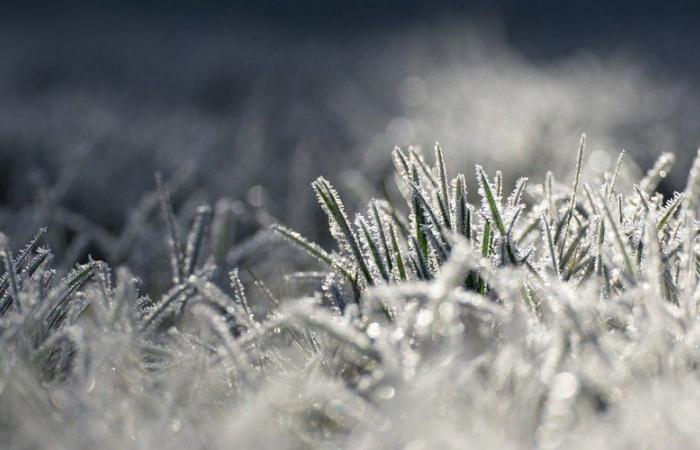 CARTE. Vers une actualité minimale négative en Aveyron ? Ce que prévoit Météo France, mercredi matin