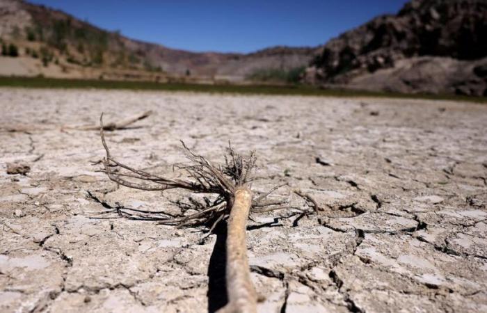 La COP16 sur la désertification s’ouvre à Riyad pour un “moment décisif”, selon l’ONU