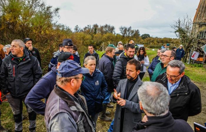 50 tracteurs en action pour dire non à l’abandon des terres agricoles