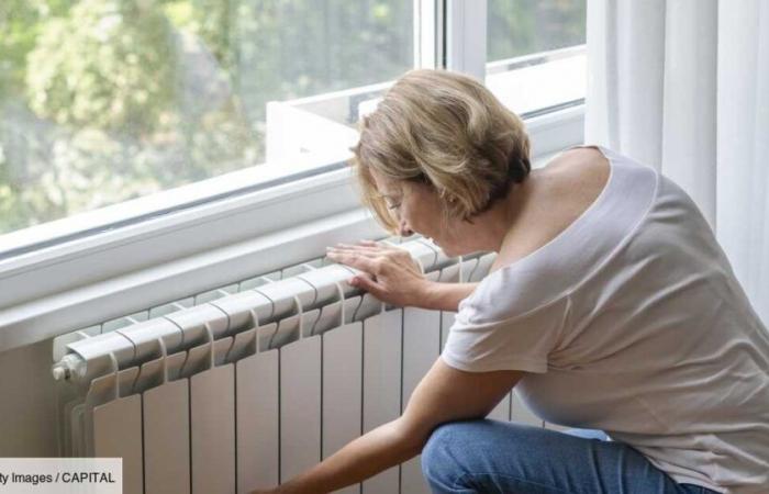 7 Français sur 10 se sentent « pris pour des pigeons » face à leur facture d’électricité